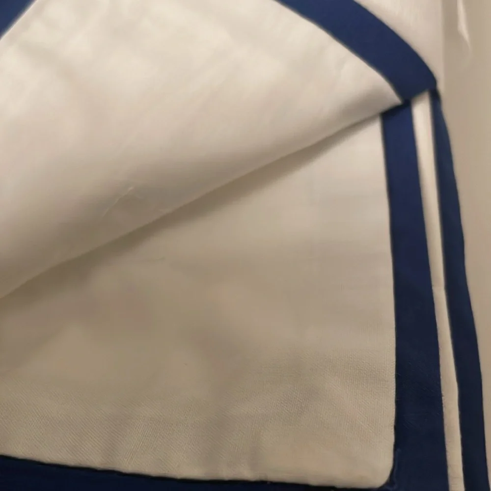 Pottery Barn Euro Shams (2)